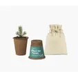 Modern Sprout® One For One Tree Kit