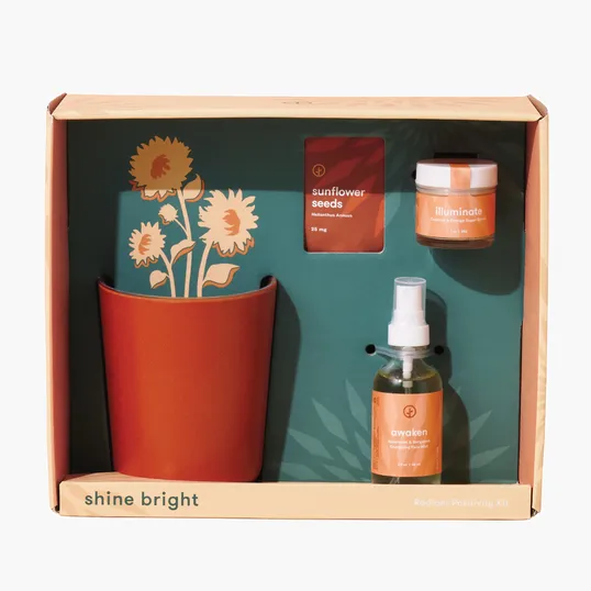 Modern Sprout® Shine Bright Take Care Kit - Sunflower
