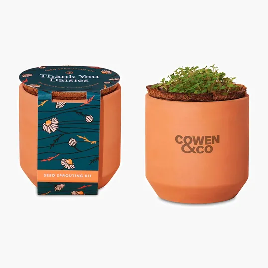 Modern Sprout® Tiny Terracotta Grow Kit Thank You Daisies — view 2