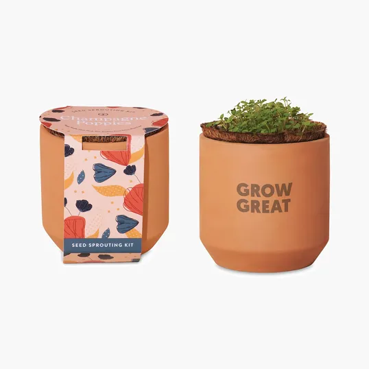 Modern Sprout® Tiny Terracotta Grow Kit Champagne Poppies — view 2