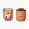 Modern Sprout® Tiny Terracotta Grow Kit Champagne Poppies — view 2