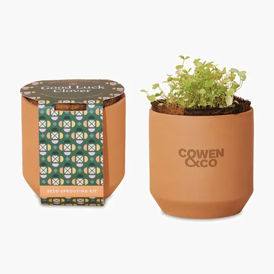 Modern Sprout® Tiny Terracotta Grow Kit Good Luck Clover — view 2