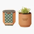 Modern Sprout® Tiny Terracotta Grow Kit Good Luck Clover — view 2