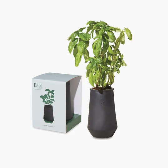 Modern Sprout® Tapered Tumbler Grow Kit