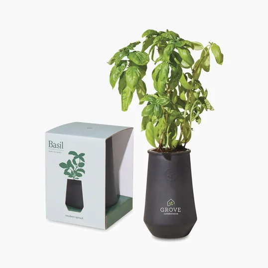 Modern Sprout® Tapered Tumbler Grow Kit — view 3