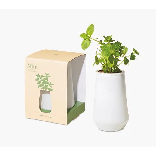 Modern Sprout® Tapered Tumbler Grow Kit — view 2