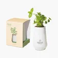 Modern Sprout® Tapered Tumbler Grow Kit — view 4