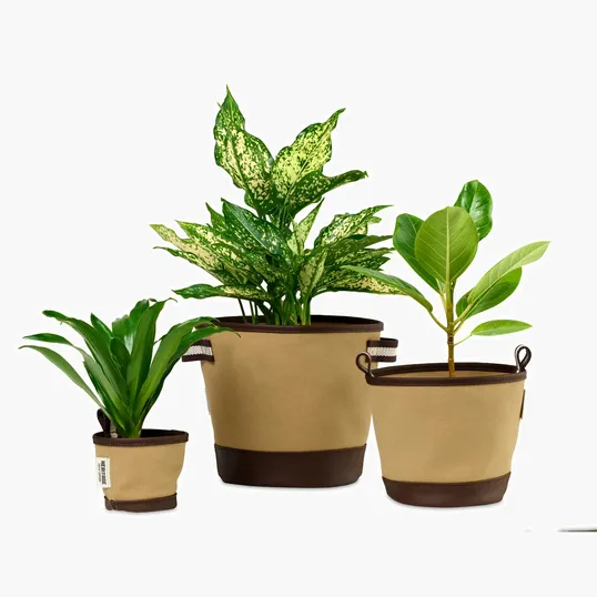 Heritage Supply™ Plant, Grow and Store Trio of Pots