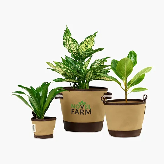 Heritage Supply™ Plant, Grow and Store Trio of Pots — view 2