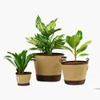 Heritage Supply™ Plant, Grow and Store Trio of Pots