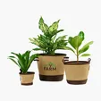 Heritage Supply™ Plant, Grow and Store Trio of Pots — view 2
