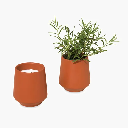 Modern Sprout® Rooted Candle, 6 oz. Soy-Blend in Ceramic Vessel — view 3