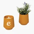Modern Sprout® Rooted Candle, 6 oz. Soy-Blend in Ceramic Vessel — view 6