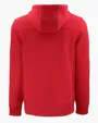 Roam Recycled Buttery-Soft Knit Half Zip Hooded Pullover — view 23