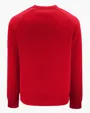 Roam Recycled Buttery-Soft Knit Men's Crew Neck Pullover — view 23