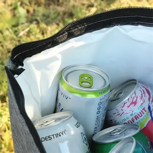 Carry Cold Cooler Bag, 24-Can Capacity — view 2