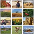 American Agriculture Wall Calendar: 2027 Stapled — view 2