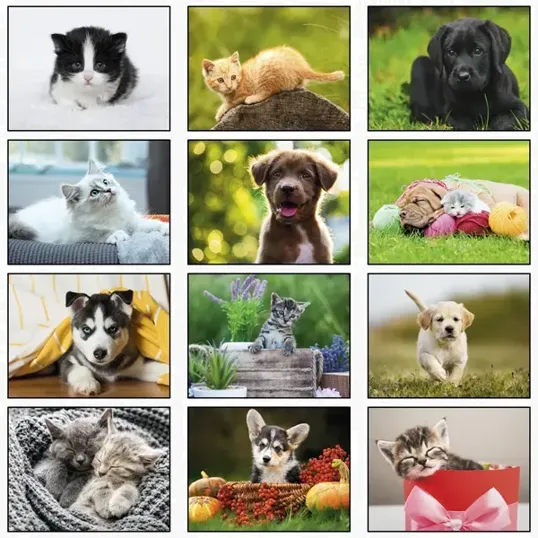 Puppies & Kittens 2027 Stapled Wall Calendar — view 2