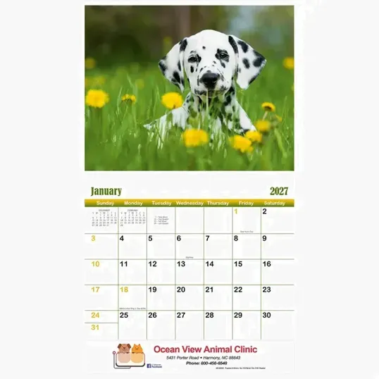 Puppies & Kittens 2027 Stapled Wall Calendar — view 3