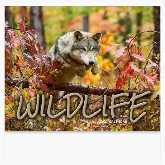 Wildlife Wall Calendar: 2027 Stapled — view 4