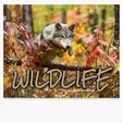 Wildlife Wall Calendar: 2027 Stapled — view 4
