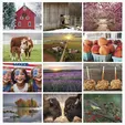 The Old Farmer's Almanac Country 2027 Stapled Wall Calendar — view 3