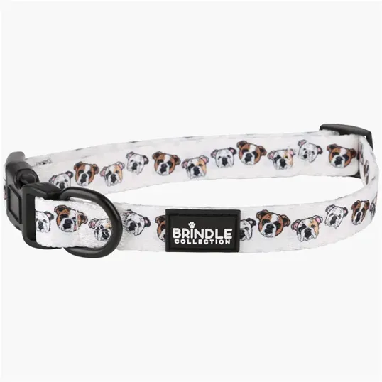 BCG Creations Dog Collar — view 4