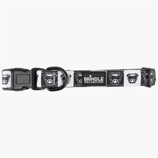 BCG Creations Dog Collar With Neoprene Backing