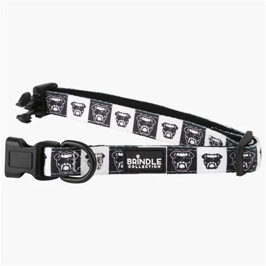 BCG Creations Dog Collar With Neoprene Backing — view 2