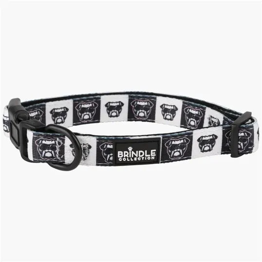 BCG Creations Dog Collar With Neoprene Backing — view 4