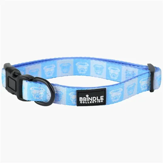 BCG Creations Dog Collar With Neoprene Backing — view 6