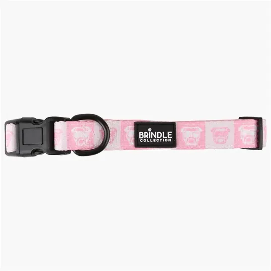 BCG Creations Dog Collar With Neoprene Backing — view 7