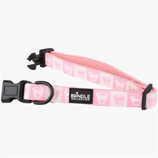 BCG Creations Dog Collar With Neoprene Backing — view 8