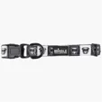 BCG Creations Dog Collar With Neoprene Backing