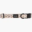 BCG Creations Dog Collar With Neoprene Backing — view 5