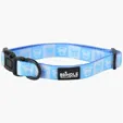 BCG Creations Dog Collar With Neoprene Backing — view 6