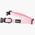 BCG Creations Dog Collar With Neoprene Backing — view 8