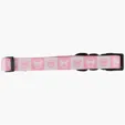BCG Creations Dog Collar With Neoprene Backing — view 9