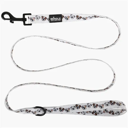 BCG Creations Dog Leash with Swivel Snap Hook