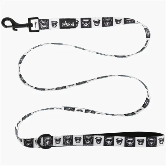 BCG Creations Dog Leash With Neoprene Backing