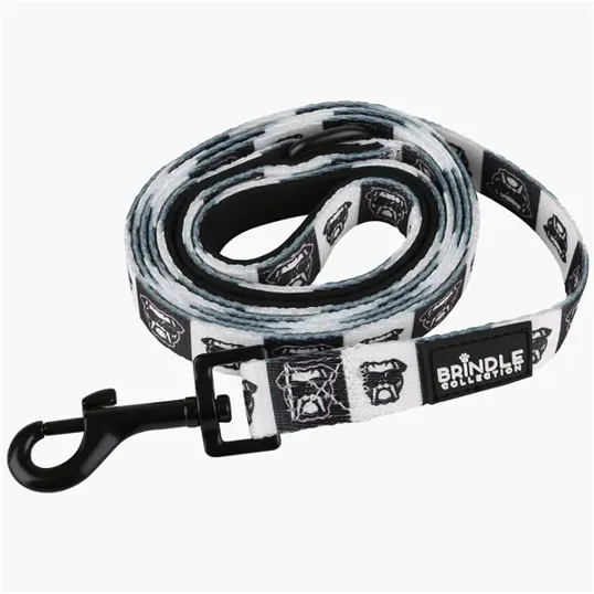 BCG Creations Dog Leash With Neoprene Backing — view 3