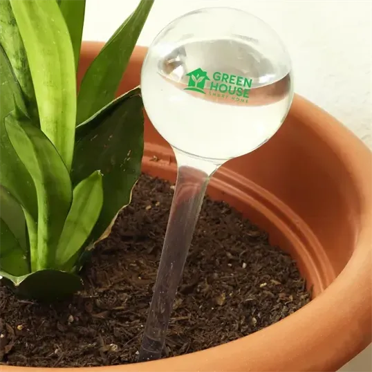 Evergreen Self-Watering Globe — view 2