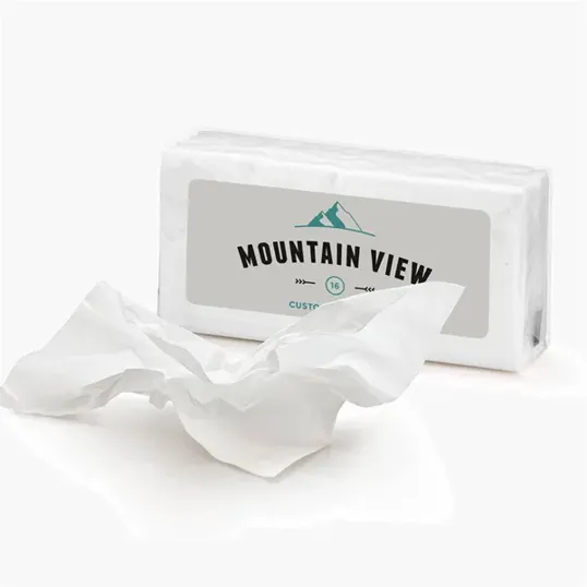 Mixie 10 Mini Facial Tissues