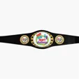 BCG Creations Small Custom Championship Belts
