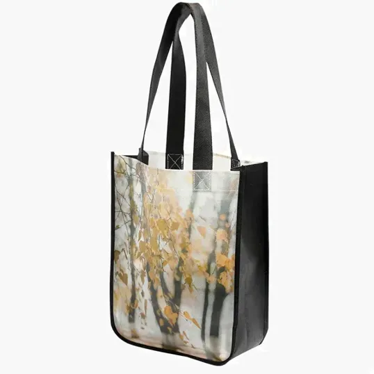 BCG Creations Laminated Non-Woven Sublimated Tote Bag — view 2