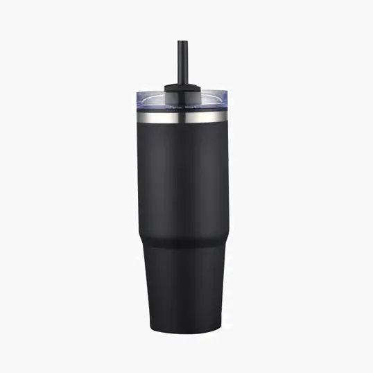 Zipline 30 oz Savvy Tumbler with Straw
