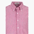 Vantage Easy-Care Gingham Check Shirt — view 49