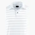 Greg Norman LAB Stripe Polo — view 23