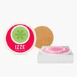 Round Absorbing Stone Coaster Set, 4-Piece