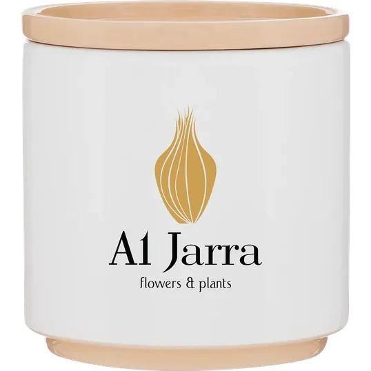 Blume 22 oz Ceramic Planter